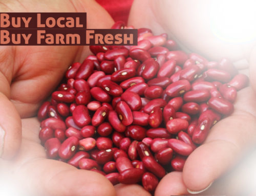 LOCAL BEANS